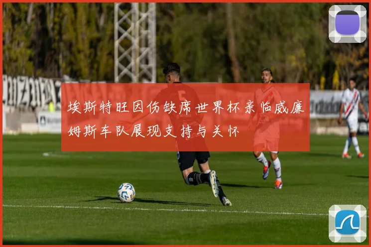 埃斯特旺因伤缺席世界杯亲临威廉姆斯车队展现支持与关怀